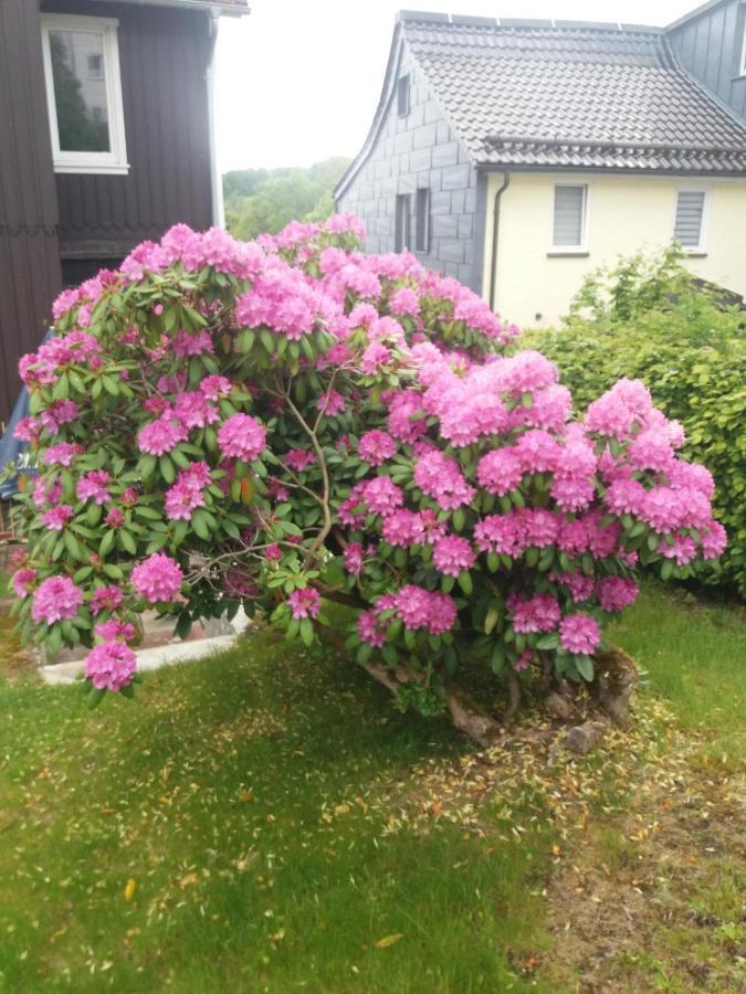 Haus Bergeshoeh Apartamento Braunlage